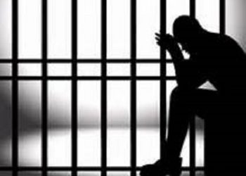 बलात्कार कसुरमा ११ वर्ष कैद सजायको फैसला