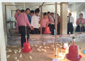 पढ्दै कमाउँदै कार्यक्रम