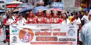 पोखरामा बाघजात्रा सुरु