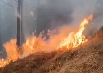 गण्डकीका चार सय ६७ स्थानमा डढेलो