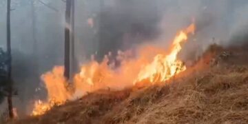 गण्डकीका चार सय ६७ स्थानमा डढेलो