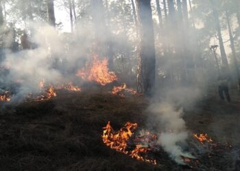 बागलुङमा ३८ वनमा आगलागीः १५ वनको आगो नियन्त्रण बाहिर