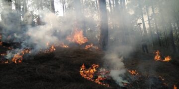 बागलुङमा ३८ वनमा आगलागीः १५ वनको आगो नियन्त्रण बाहिर