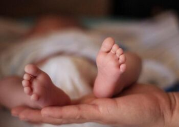 बेवारिसे अवस्थामा नवजात शिशु फेला