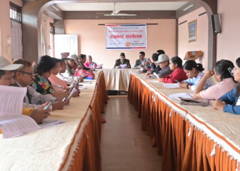 २१ बुँदे नागरिक घोषणापत्र सार्वजनिक