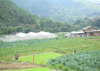 १२ औँ राष्ट्रिय कृषक दिवस विभिन्न कार्यक्रम गरी मनाइदै