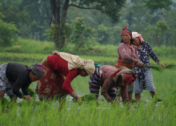 हेमजा हिले महोत्सवको तयारी तीव्र गतिमा