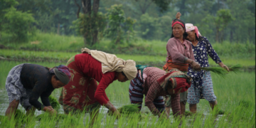 हेमजा हिले महोत्सवको तयारी तीव्र गतिमा