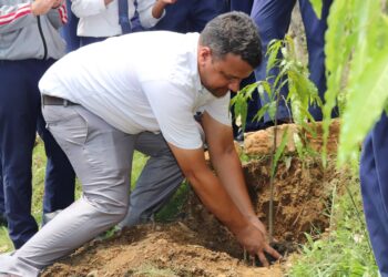 एसओएस गण्डकीमा सरसफाइ र वृक्षरोपण