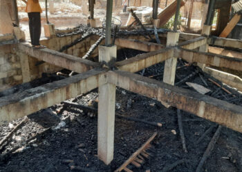 बाख्रा फार्ममा आगलागी, ४० लाखको क्षति