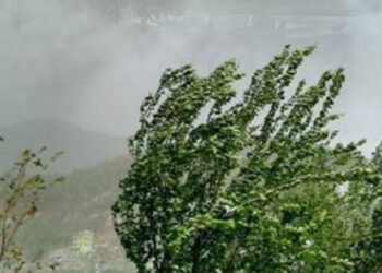 हावाहुरीका कारण कास्कीमा १४ घर मा क्षेती