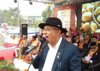 हेमजामा आलु महोत्सव सुरु