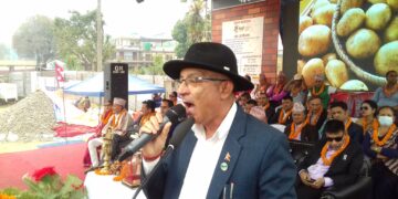 हेमजामा आलु महोत्सव सुरु