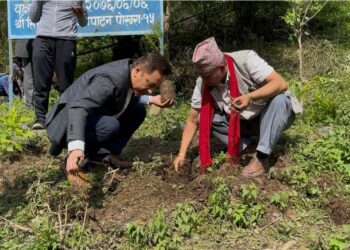 विश्व वातावरण दिवसको अवसरमा सिद्ध वनवाटिकामा वृक्षरोपण सम्पन्न