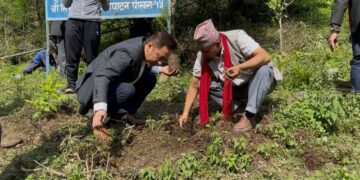 विश्व वातावरण दिवसको अवसरमा सिद्ध वनवाटिकामा वृक्षरोपण सम्पन्न