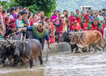 पाचौ हेमजा हिलो महोत्सव–२०८२ सम्पन्न