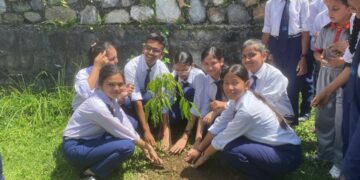 वातावरण दिवसको अवसरमा एसओएस हरमन माइनर विद्यालय गण्डकीमा वृक्षारोपण र सरसफाई