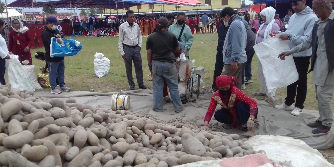 आलु महोत्सवमा दर्शक सहभागिता बढ्दै  बढ्दै ५० लाख बढीको कारोवार