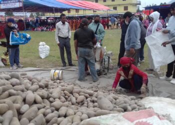 आलु महोत्सवमा दर्शक सहभागिता बढ्दै  बढ्दै ५० लाख बढीको कारोवार